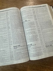 PROPHECY STUDY BIBLE Burgundy Leather KJV Red Letter TIM LAHAYE/DAVID WOOD 2000