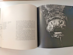 BULLS OF IBERIA by ROBERT VAVRA 1ST EDITION. 1972 HARDCOVER