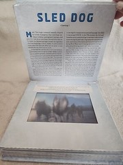 Photicular Ser.: Polar : A Photicular Book by Carol Kaufmann and Dan Kainen…