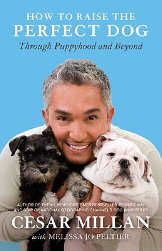 How to Raise the Perfect Dog: Through Puppyhood and Beyond – Paperback – GOOD