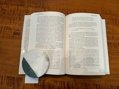 Gold Fever — The Beginning of the California Gold Rush — First Edition