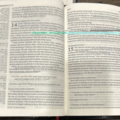 Cambridge Holy Bible English Standard Version Leather Bound Religious Bible