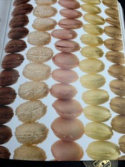 Grand Livre de Cuisine : Alain Ducasse’s Desserts and Pastries French Cookbook