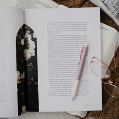 The Daily Grace Co Free From Shame – How the Gospel Redeems our Past Bible Study