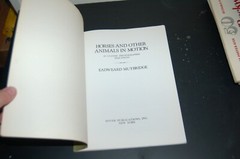 Horses and Other Animals in Motion: 45 Class… by Muybridge, Eadweard Paperback