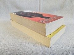 Kay Hooper 2 Book Lot – Stealing Shadows & Hidden Salem