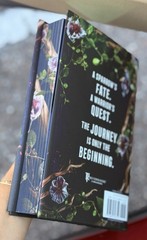 Devney Perry Deluxe HC Shield Of Sparrows & Rites Of The Starling Sprayed Edges