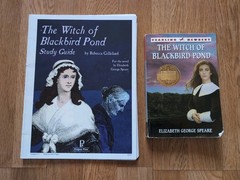 The Witch of Blackbird Pond Study Guide – by Rebecca Gilleland – Progeny Press