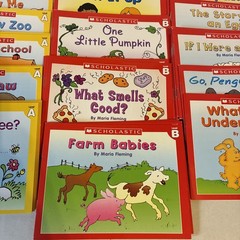 Little Leveled Readers by Scholastic Kids Books Lot Of 100+ Plz Read