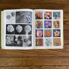 Exotica Pictorial Cyclopedia of Exotic Plants, Series 3, 6th Edition A.B. Graf