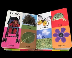 First 100 Ser.: First 100 Words : A Padded Board Book by Roger Priddy (2011,…