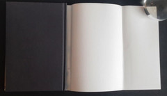 The Alice Behind Wonderland by Simon Winchester 2011 Hardcover DJ