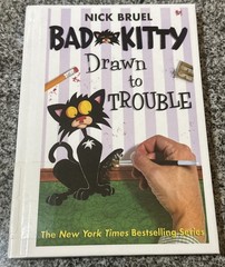 Lot of 4 Bad Kitty Hardcover Books by Nick Bruel First Square Fish Edition