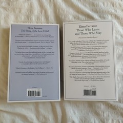 The Neapolitan Novels box set by Elena Ferrante(Europa Editions,trade paperback)