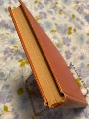 BOOK A Revelation of Jesus Christ J B Smith Commentary HC Herald Press 1962