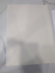 Gustav Klimt. the Complete Paintings by Tobias G. Natter (2012, Hardcover) CC