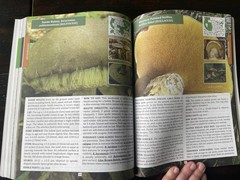 The Forager’s Guide to Wild Foods North American Edition by Nicole Apelian