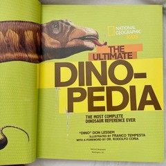 Lot 2 Dinosaur books National Geographic Kids Dino-Pedia and First Big Book