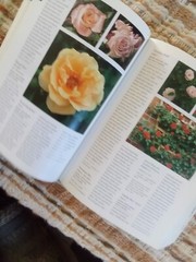 Botanica’s Pocket Roses: Over 1000 pages and 2000 roses listed (2001,Pb)