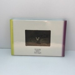 Why We Love Cats by Kim Levin. Kitty, Pets at Play, Best Friend Furry and Fluffy
