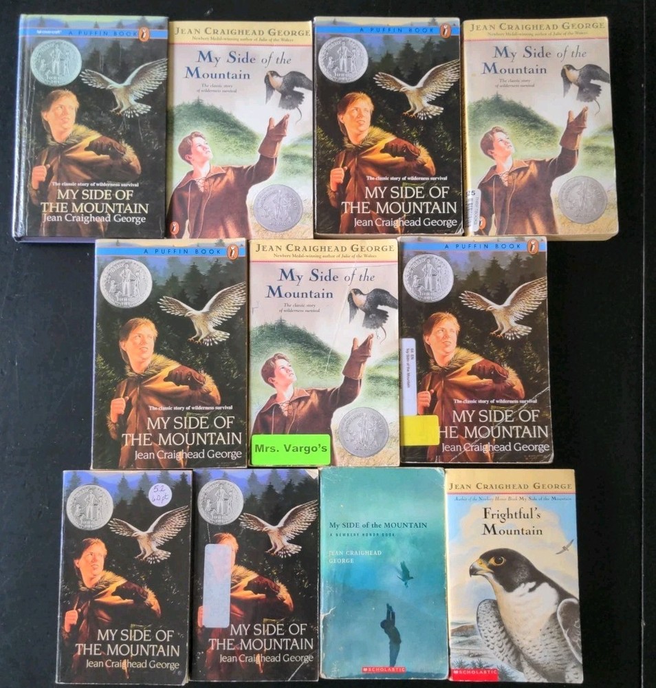 Lot of 10 My Side of the Mountain +1 by J C George Guided Reading Class Set Lot