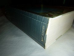 Maia by Richard Adams 1984 Hardcover BCE – Book Club Edition