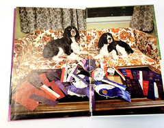 Vintage English Springer Spaniels Diane McCarty T.F.H. Purple HC Dog Care 1983