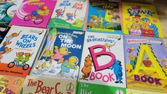 Lot of 10 The Berenstain Bears Beginner Bright and Early Books „Random Mix”