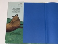 I Know an Old Lady HC & Dust Jacket Scholastic Book G. Brian Karas