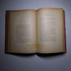 N25.4 Misery Size Humanity Primitive 1889 Illustrated Anthropology Mrs. Meunier