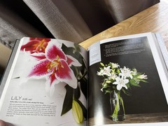 Hardcover The Flower Recipe Book Studio Choo Floral Arrangement Photography