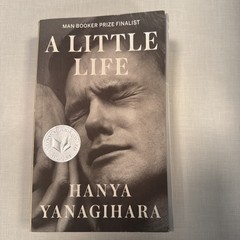 A Little Life by Hanya Yanagihara (2015, Paperback)