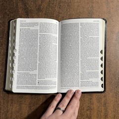 ESV Thinline Bible Thumb Indexed – 2025 Text – Espresso TruTone