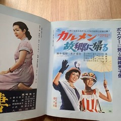 All about Hideko Takamine Japanese Movie Actress Photo Book 237 Pages 1990