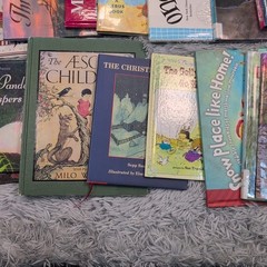 Bulk Lot of Mixed Books Various Authors & Genres Childhood Homeschool Learning
