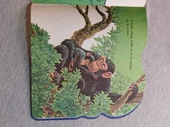 Golden Shaow Book Time To Sleep 1978 Kathleen Allan Meyer Rod Ruth Western Press
