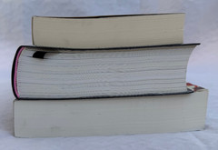 The Familiar Vol 1, Only Revolutions, Mark Z. Danielewski House of Leaves books