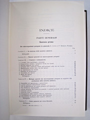 Malattie Infettive Dell’uomo E Degli Animali by Alessandro Lustig (Vol. I-II)