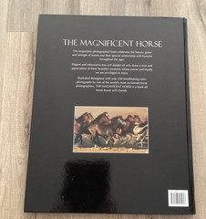 Magnificent Horse Large Book (Hardcover)