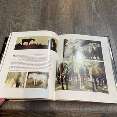 Such Is the Real Nature of Horses by Robert Vavra (1998, Hardcover/Dust Jacket)