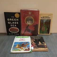Lot of 10 Mixed Random Children’s Books and Young Adult Novels, Classic Stories