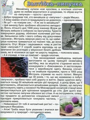 Book In Ukrainian Дивовижні історії про звичайні речі Author not specified