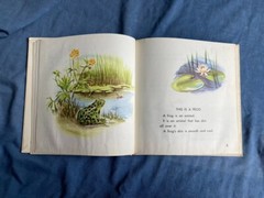 WHAT IS A FROG Gene Darby John Hawkinson 1957 WHAT IS IT SERIES 3rd Grade Level