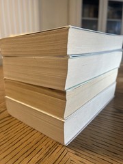 Neapolitan Novels 1-4 FULL SET, by Elena Ferrante Europa Editions