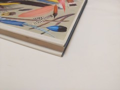 World of Birds James Fisher Roger Tory Peterson Vintage Bird book Hardcover