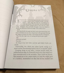 NEVERTHORN by Shannon Mayer – Exclusive Edition Sprayed Edge HARDBACK & swag