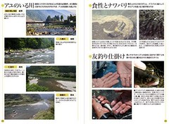 Fish & Fishing Guide 672 Pages: Species ID,Tackle & How to Clean (Japanese Book)
