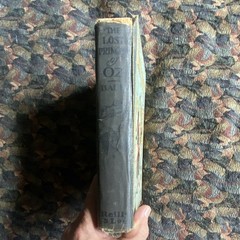 L. Frank Baum The Lost Princess of Oz Oz Series HC Illus Neill Reilly & Lee 1917