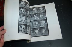 Horses and Other Animals in Motion: 45 Class… by Muybridge, Eadweard Paperback