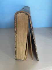 Antique Book „MUSÉE DES FAMILLES” From The Year 1888 Paris Bound Volumes Magazin